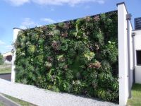 Notre zone d'activité pour ce service Traitement des arbres et arbustes contre les maladies